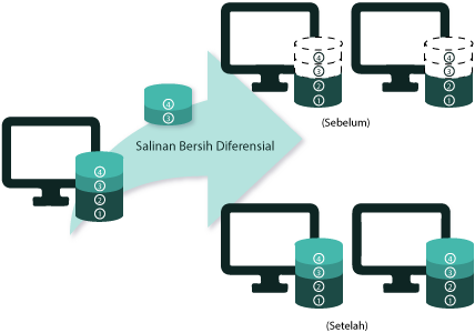 Salinan Bersih Diferensial